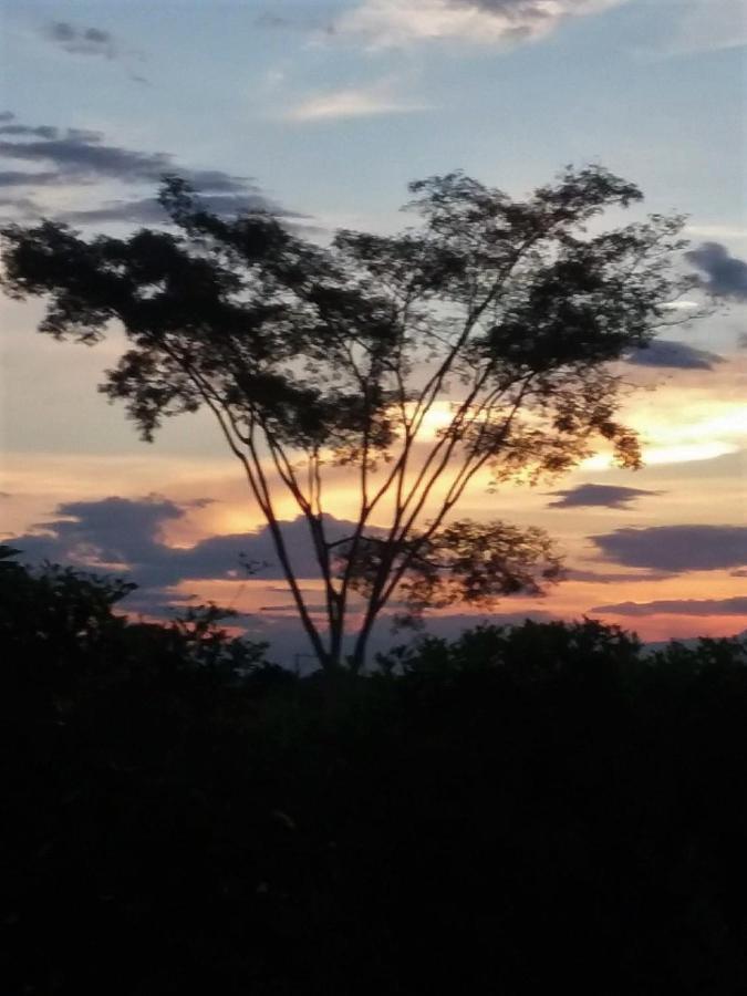 Bed and Breakfast C&H Casa Campestre El Oasis Ricaurte Girardot Exterior foto