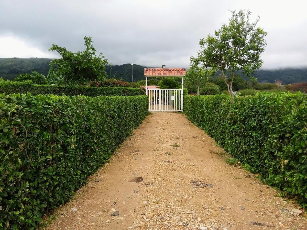 Bed and Breakfast C&H Casa Campestre El Oasis Ricaurte Girardot Exterior foto