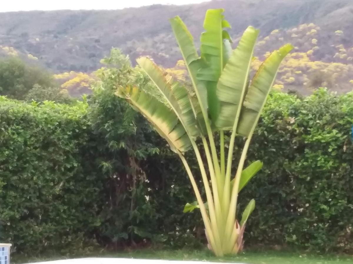 Bed and Breakfast C&H Casa Campestre El Oasis Ricaurte Girardot Exterior foto